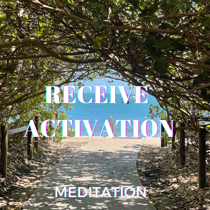A RECEIVE ACTIVATION Meditation - FREE